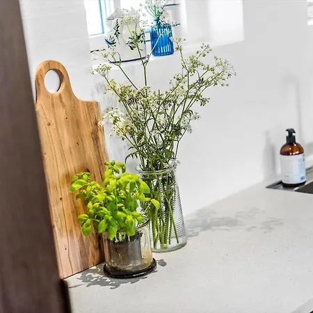 Bv174-blavand-sonder-vasevej-26 בלבאנד